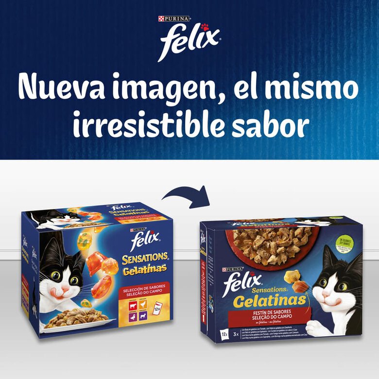 Felix Sensations Seleção de Peixes saquetas em galeia – Pack 4, , large image number null